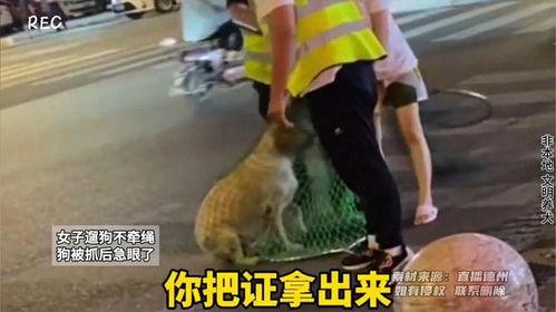 女士遛狗请牵绳