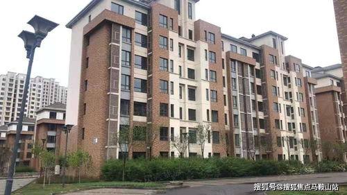 可靠港湾,揭秘人生旅程中的避风港