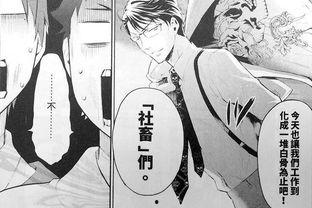 社畜向前冲,勇闯职场巅峰的奋斗之路